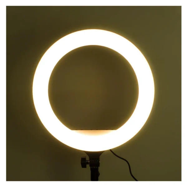 رینگ لایت مدل YQ-360A